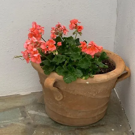 Irenes House Casa vacanze Piso Livadi