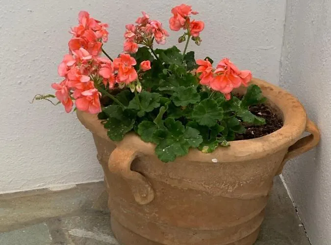 Irenes House Casa vacanze Piso Livadi