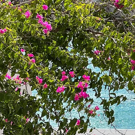 Irenes House * 皮索·里瓦蒂