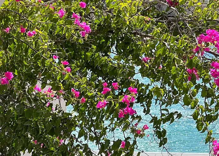 Irenes House * Писо-Ливади